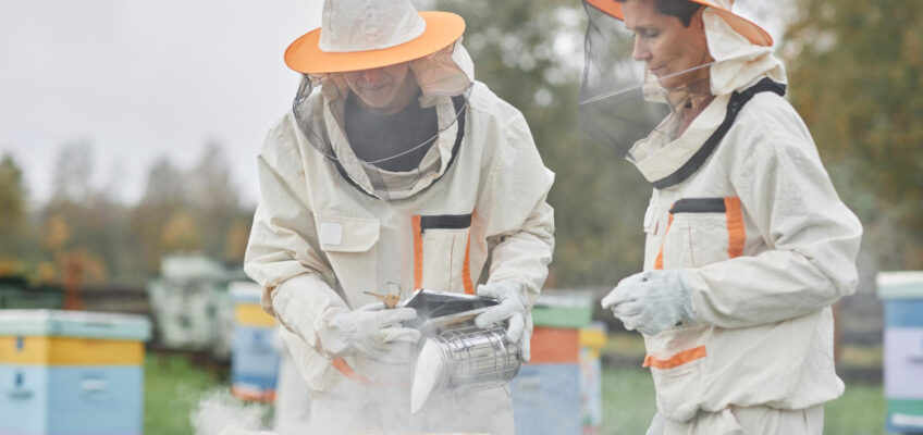 Eco-Friendly Bee Removal Services in Palm Springs