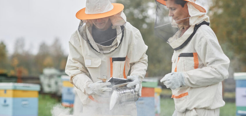 Eco-Friendly Bee Removal Services in Palm Springs